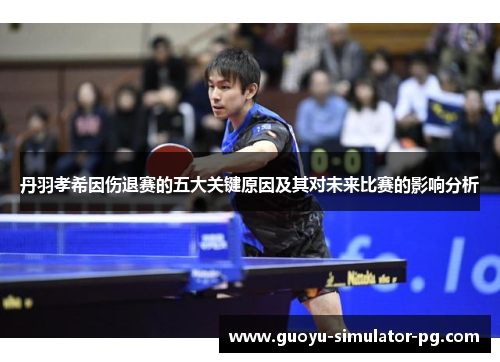 丹羽孝希因伤退赛的五大关键原因及其对未来比赛的影响分析