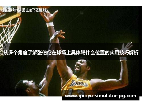 从多个角度了解张伯伦在球场上具体踢什么位置的实用技巧解析 从多个角度了解张伯伦在球场上具体踢什么位置的实用技巧解析