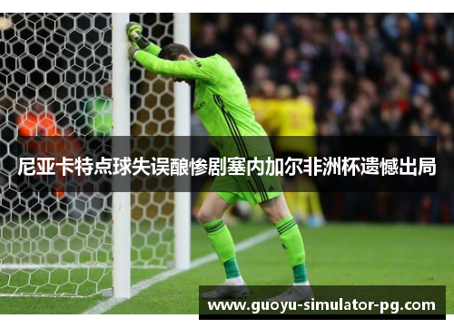 尼亚卡特点球失误酿惨剧塞内加尔非洲杯遗憾出局