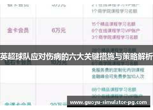 英超球队应对伤病的六大关键措施与策略解析