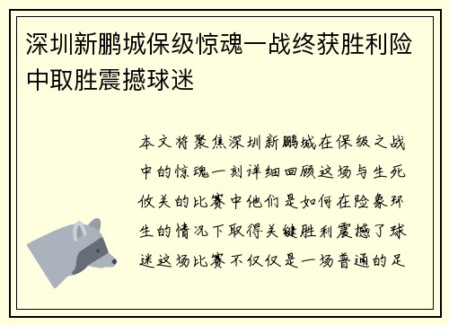 深圳新鹏城保级惊魂一战终获胜利险中取胜震撼球迷