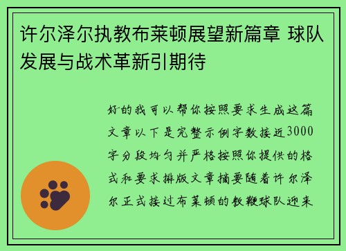 许尔泽尔执教布莱顿展望新篇章 球队发展与战术革新引期待