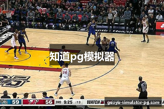 知道pg模拟器